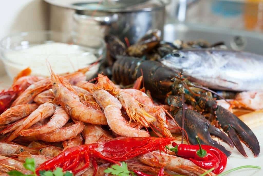 Recetas con marisco Selección de gambas, langosta y pescado fresco listos para cocinar recetas con marisco