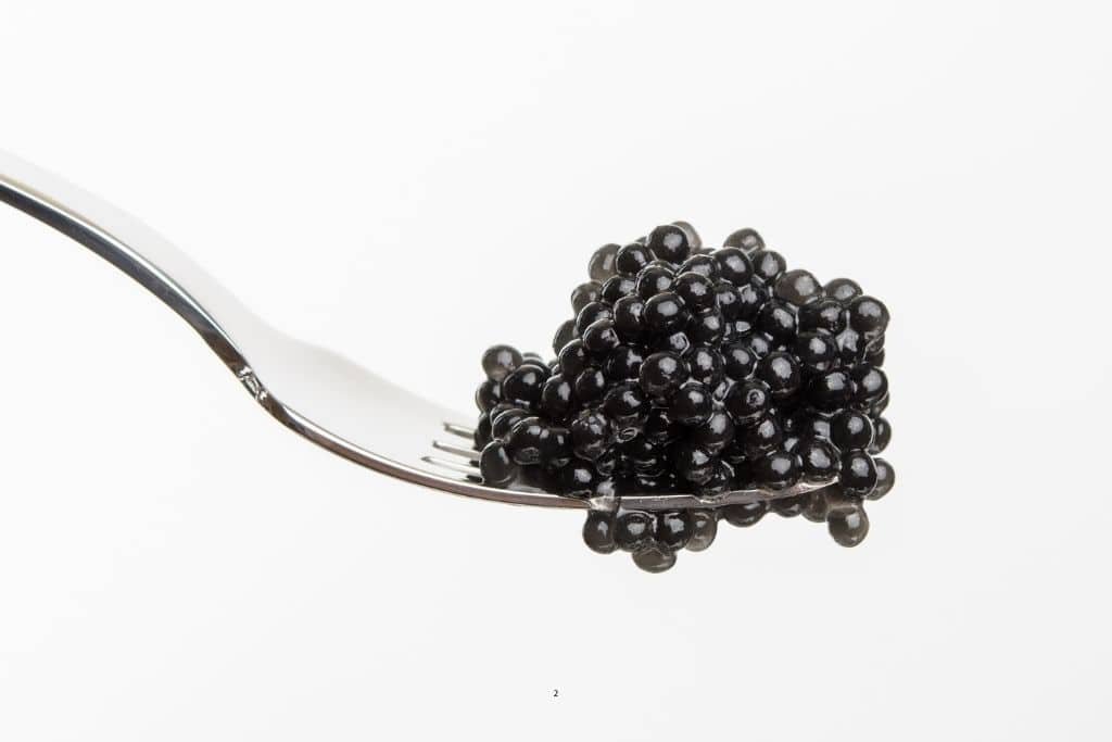 Que es el caviar: caviar negro servido en cucharilla. Que es el caviar: cucharilla con caviar negro